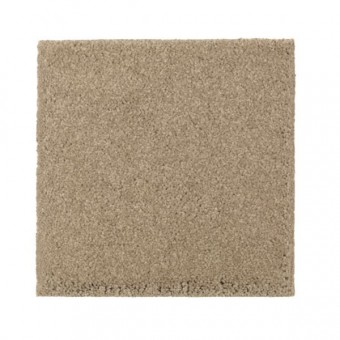 Natural Splendor I - Brushed Suede