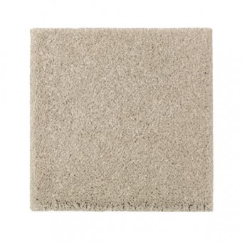 Natural Splendor I - Sand Dollar