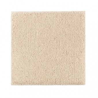 Natural Splendor II - Antique Ivory