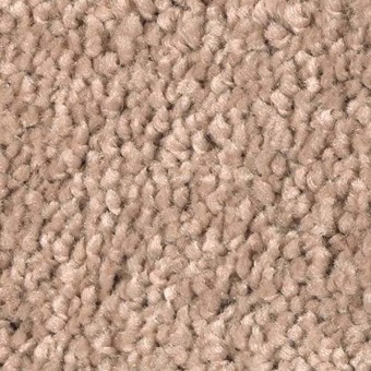 Soft Attraction II - Bermuda Sands