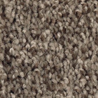 Tonal Chic II - Black Walnut