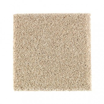 Natural Refinement I - Sand Dollar