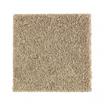 Natural Refinement II - Hearth Beige