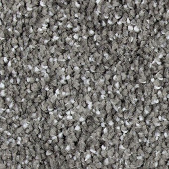 Exquisite Attraction - Uptown Taupe