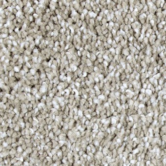 Exquisite Tones - Uptown Taupe