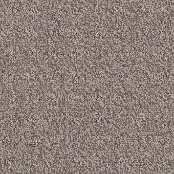 Chivalry 26 Broadloom - Loyal