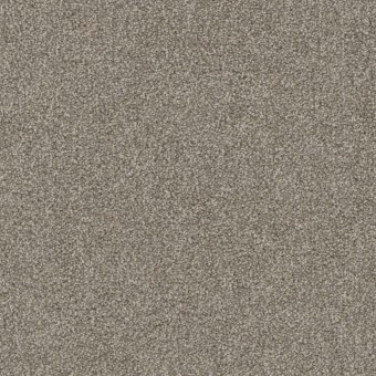 Terrain Broadloom - Enclave