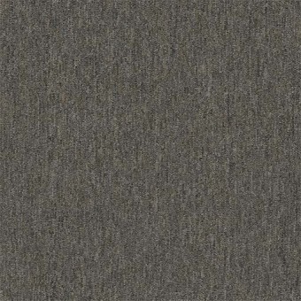 Unite 20 Broadloom - London Fog