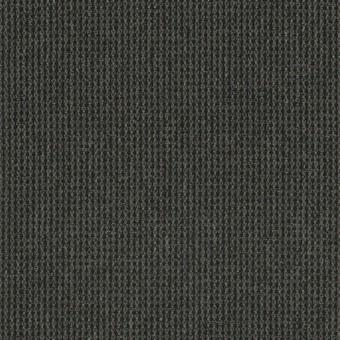 Backroads Broadloom - Gravel Road