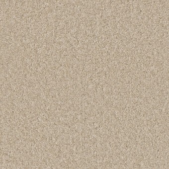 Broadcast Plus - Light Bisque