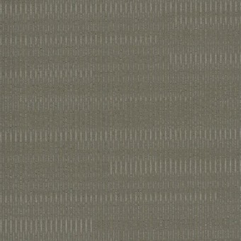 Sidewinder Broadloom - Arid Gray