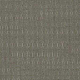 Sidewinder Broadloom - Gray