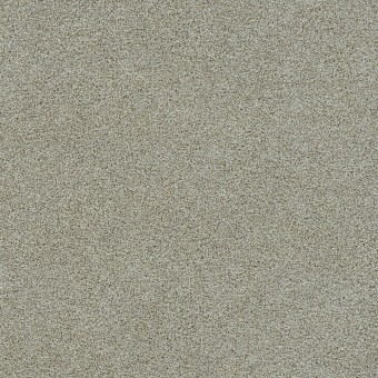 Morning Glory III - French Silk