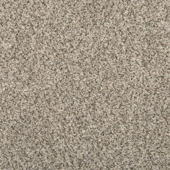 Renovate I - Silver Dollar