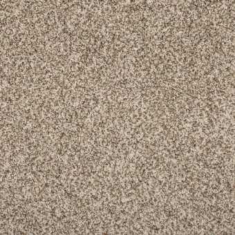 Renovate I - Elk Beige