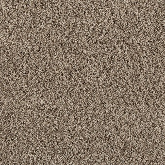 Renovate III - Shimmer Ash