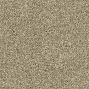 Foxwood I - Cashmere