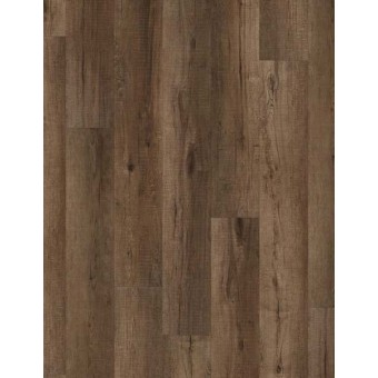 COREtec Pro Plus - Chandler Oak