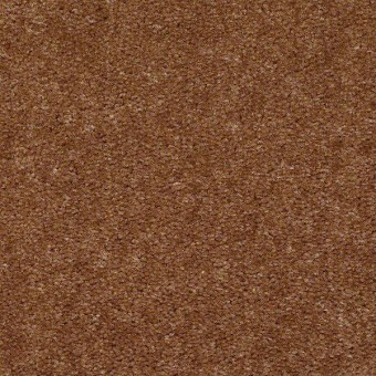 This Is It Plus - Amber Wood