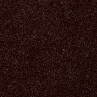 Essay II - Cocoa Powder