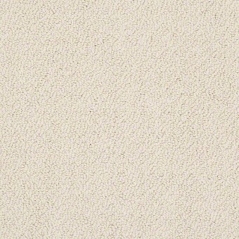 Traditional Elegance - Custard
