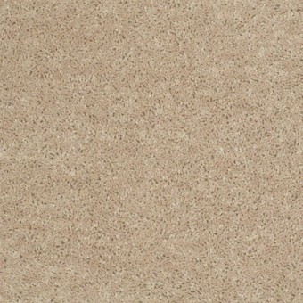 Fielder\'s Choice 12 - Adobe
