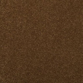 Enthralled - Spice Trader