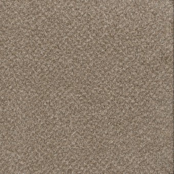 Toast of the Town - Natural Cotton