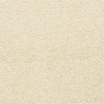Cassina - Sugar Cookie