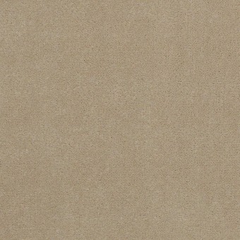 Emphatic II 36 - White Gold