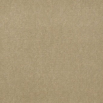 Emphatic II 36 - Parchment