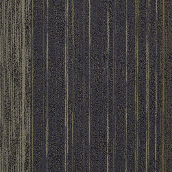 Unscripted Tile - Hall Meeting