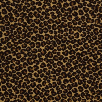 Cheetah - Keep The Pace