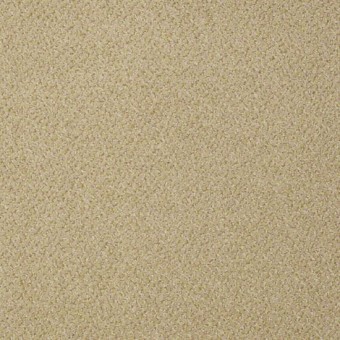 Primus - First-Class From Shaw Carpet