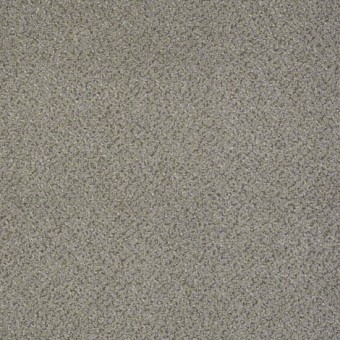 Primus - Premier From Shaw Carpet