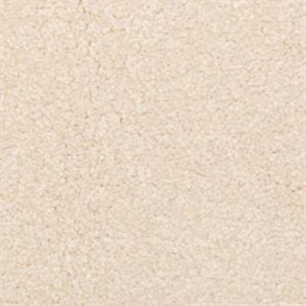 Delight - Desert Pearl