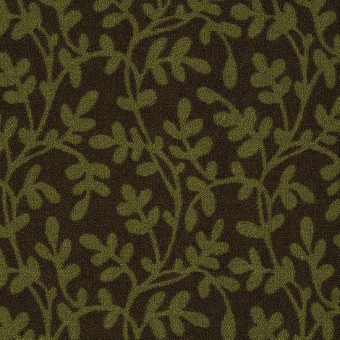 Lowland - Cascadilla