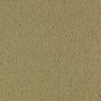 Color Accents B - Pecan