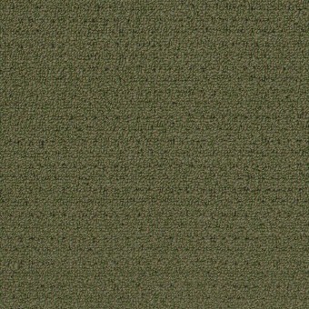 Gardenscape (T) - Holly Leaf