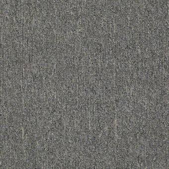 Neyland III 26 - Georgia Mist From Shaw Carpet