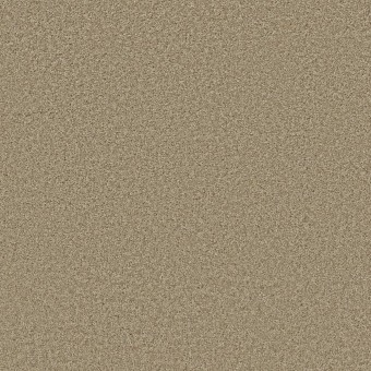 Idle Time - Sand Dollar