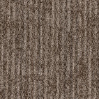 Crackled Tile - Compose