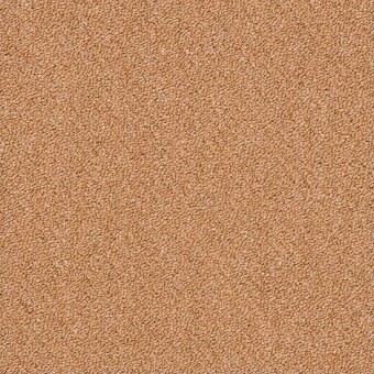 Momentum IV Carpet Tile - Friction