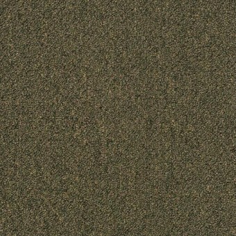 Momentum IV Carpet Tile - Bowled Over