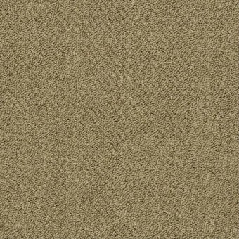 Momentum IV Carpet Tile - Potential