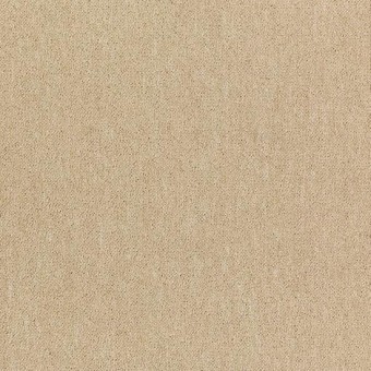 Momentum IV Carpet Tile - Evolve