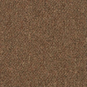 Momentum IV Carpet Tile - Timbre