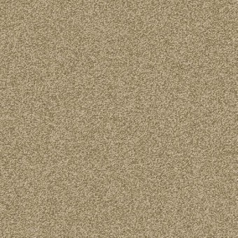 Gradient Carpet Tile - Sandstone