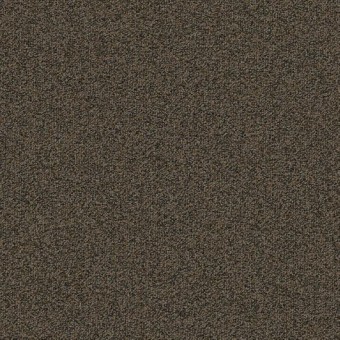 Gradient Carpet Tile - Char Brown