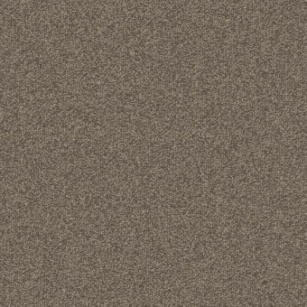 Gradient Carpet Tile - Bird\'s Eye